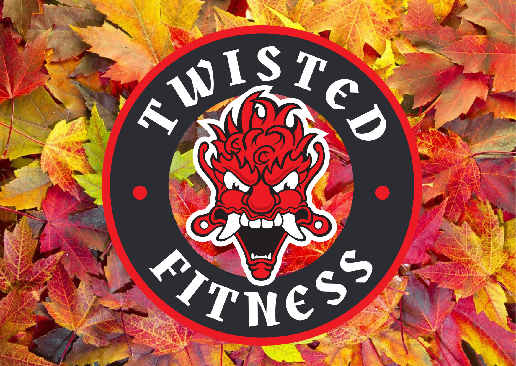Twisted Fitness Gym Madison, WI 